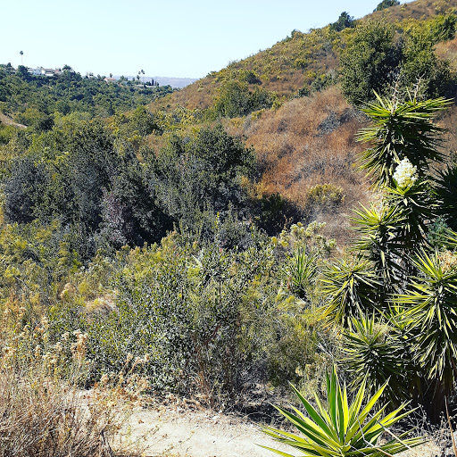 Rancho Mission Canyon Trail