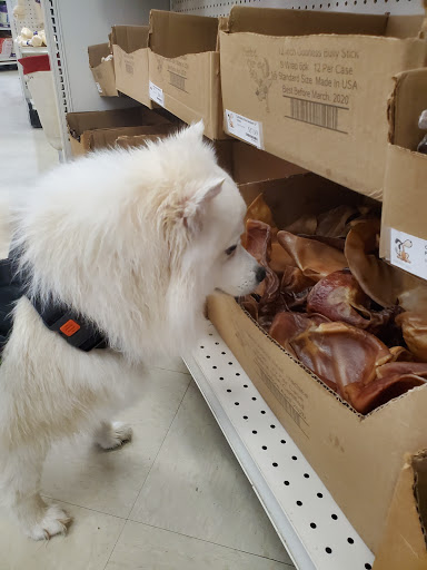 Pet Supply Store «Pet Life | Supplies, Services & Knowledge», reviews and photos, 625 Broadway, Bangor, ME 04401, USA