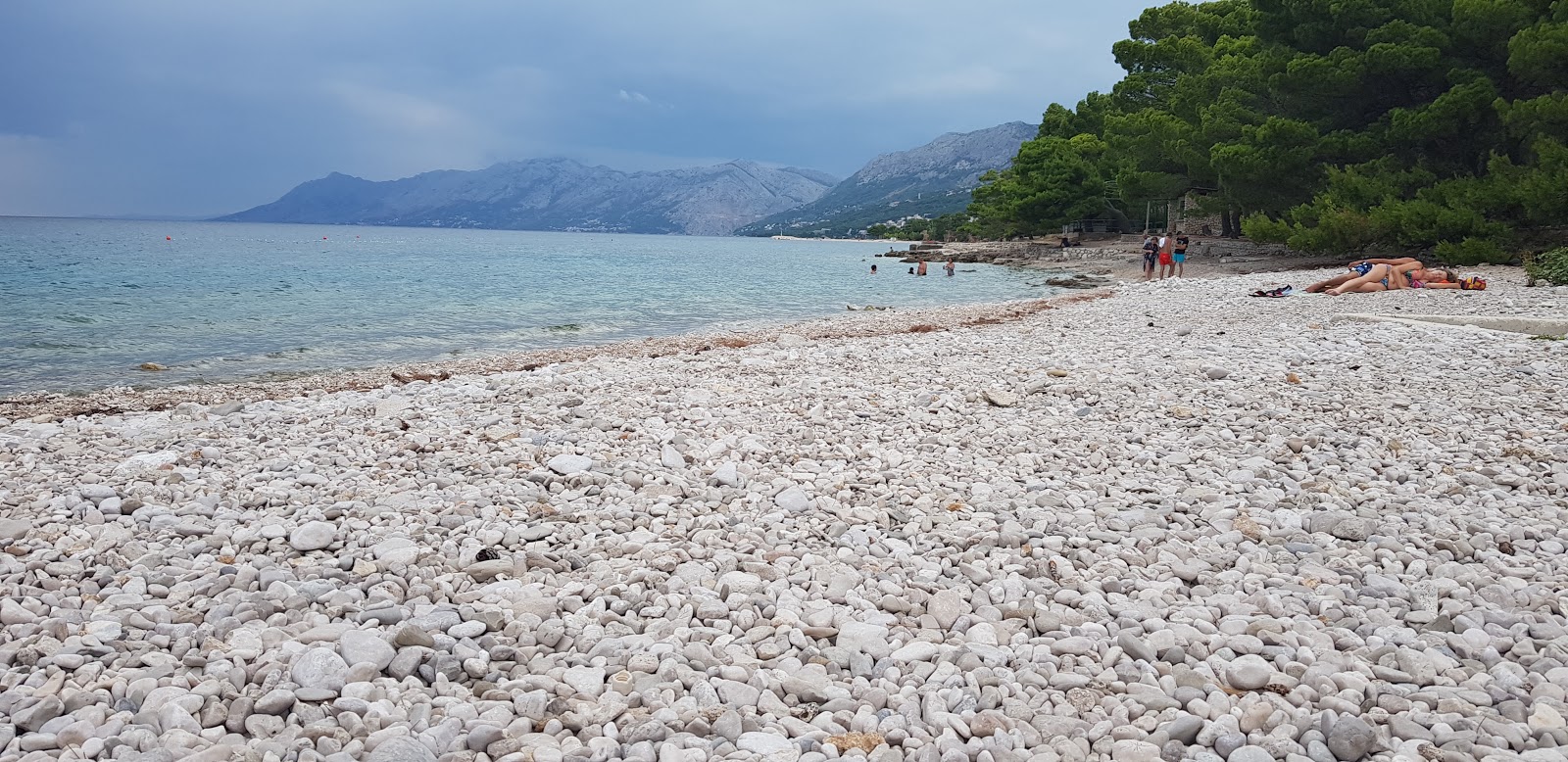 Foto van Plaza Basko Polje wilde omgeving