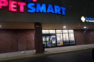 PetSmart image