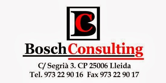 Bosch Consulting