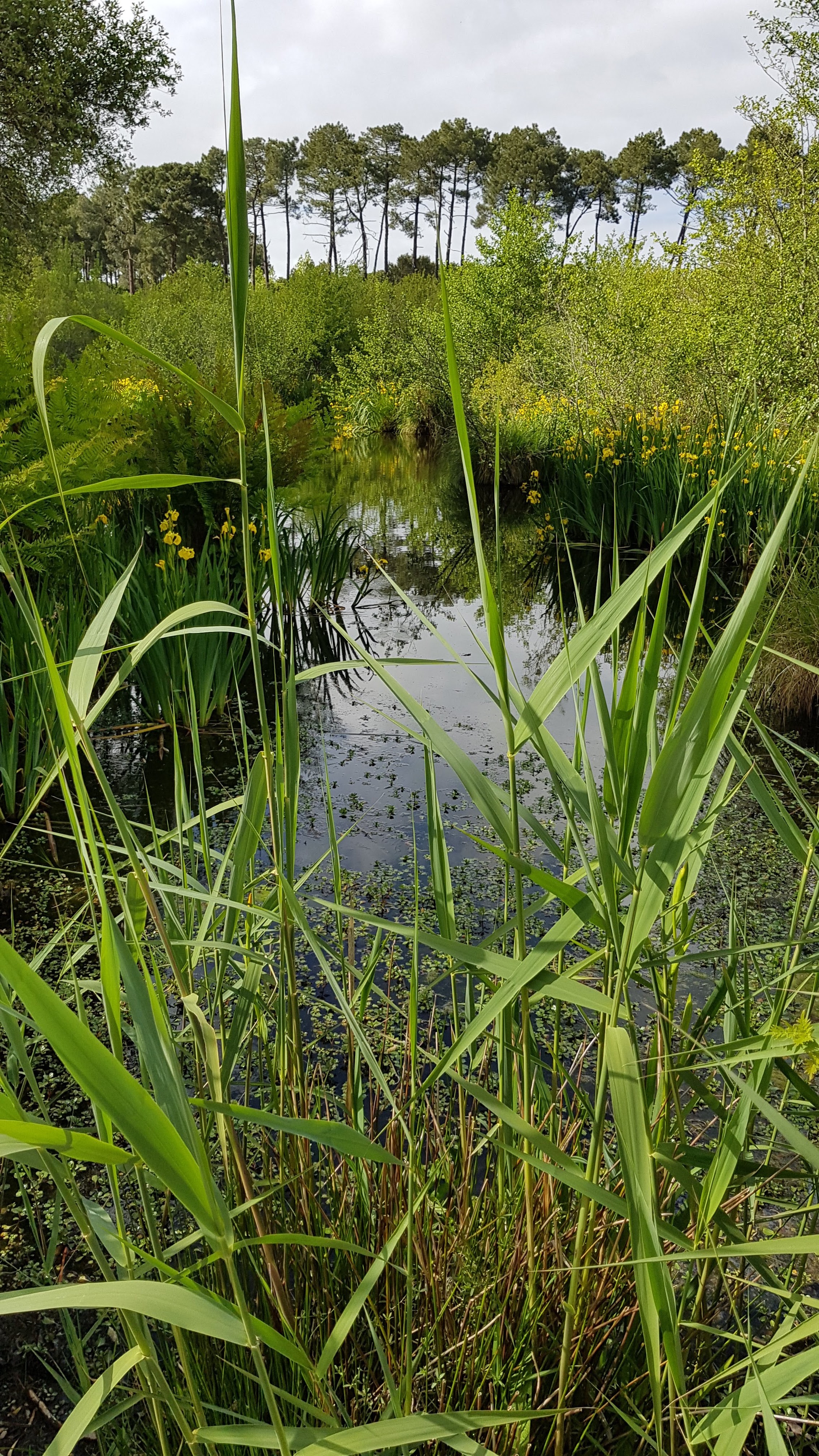 Photo n° 1 de l'avis de Mario.o fait le 11/05/2019 à 17:45