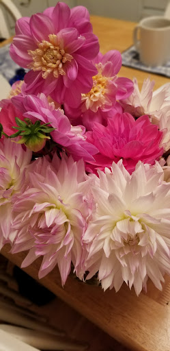 Florist «The Natural Nook Flower Shop», reviews and photos, 738 Pacific Way, Gearhart, OR 97138, USA