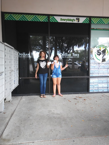 Dollar Store «Dollar Tree», reviews and photos, 7089 W Waters Ave, Tampa, FL 33634, USA