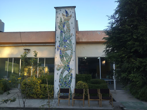 Centro Cultural Moa Colegio de Arte y de la Vida A.C.