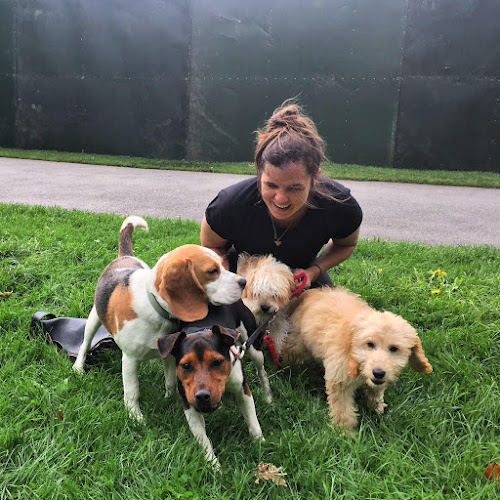 Reviews of Fiona's Diggidy Daycare in London - Dog trainer