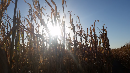 Farm «Geisler Farms Inc», reviews and photos, 5251 NE 94th Ave, Bondurant, IA 50035, USA