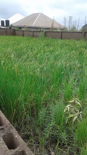 Terenso Hotel, Gbehe Ikya Crescent, Nigeria, Tourist Attraction, state Benue