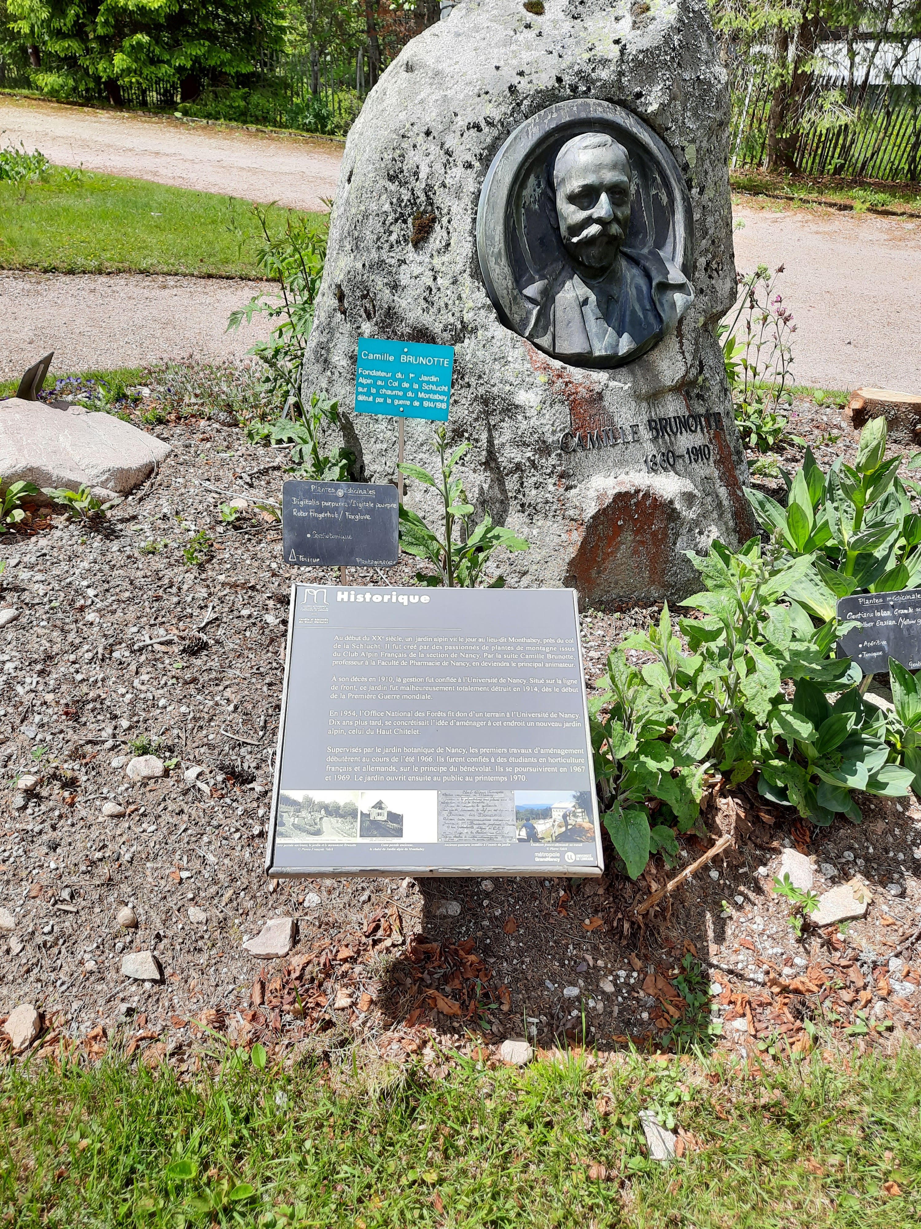 Photo n° 19 de l'avis de Victoria.e fait le 22/06/2020 à 21:37