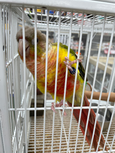 Pet Supply Store «Pet Supermarket», reviews and photos, 545 Cool Springs Blvd, Franklin, TN 37067, USA