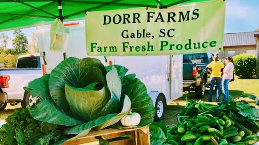 Dorr Farms