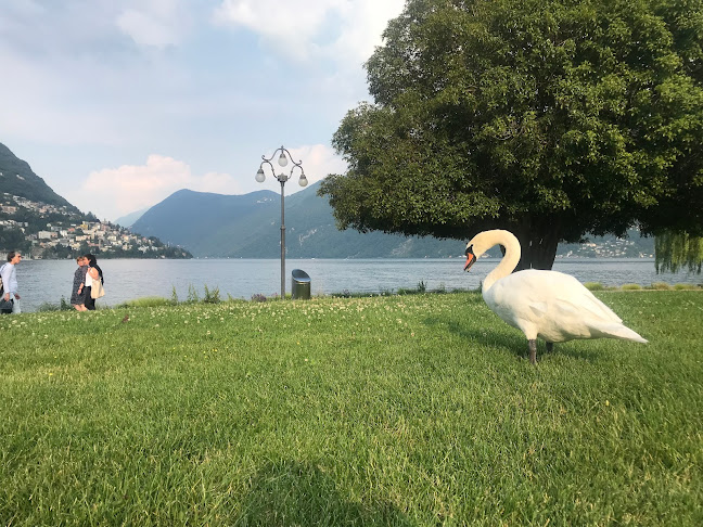 Kommentare und Rezensionen über Outdoor Fitness UrbaFit