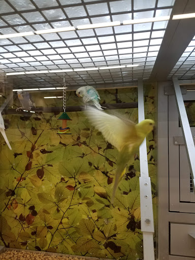 Pet Store «PetSmart», reviews and photos, 14903 4th Ave SW Ste 200, Burien, WA 98166, USA
