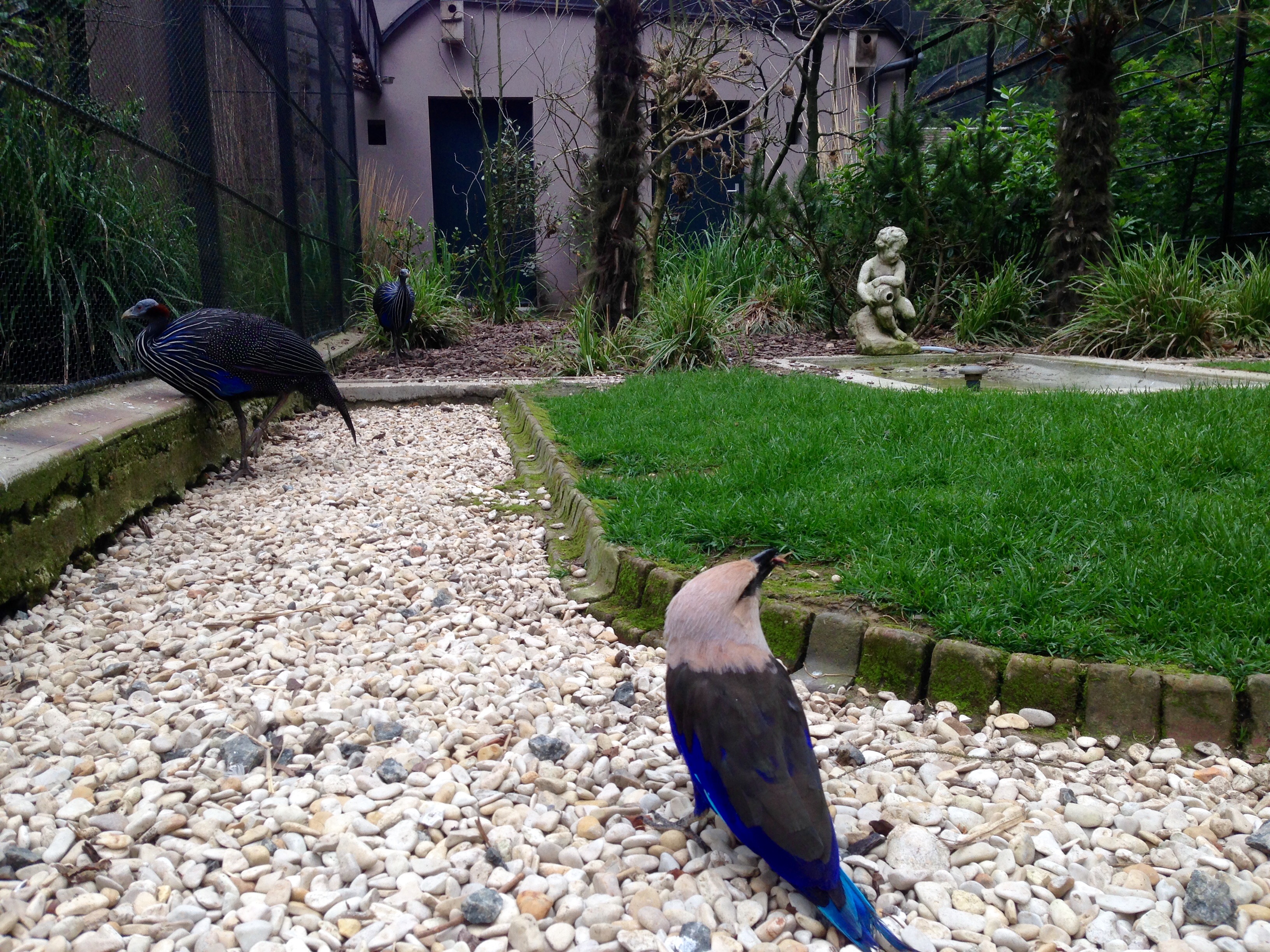 Photo n° 5 de l'avis de John.a fait le 10/06/2018 à 18:52