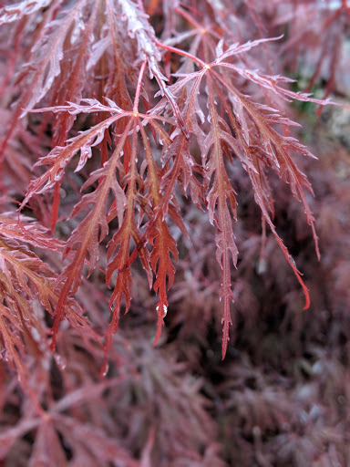 Local History Museum «Bellamy Mansion Museum», reviews and photos, 503 Market St, Wilmington, NC 28401, USA