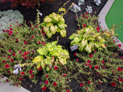 Florist «Nunan Florist & Greenhouses», reviews and photos, 269 Central St, Georgetown, MA 01833, USA