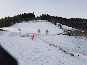 Photo n°14 de La Graine Johé SARL à Le Bonhomme ()