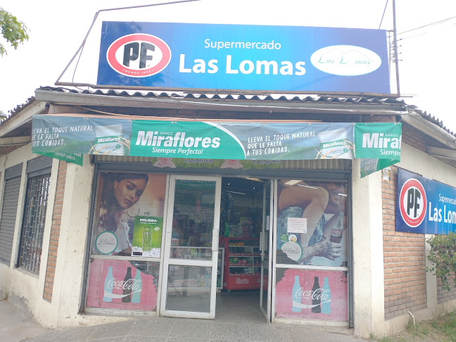 Supermercado Las Lomas - Maule