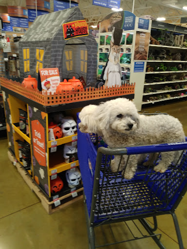 Pet Supply Store «PetSmart», reviews and photos, 2141 N Rose Ave, Oxnard, CA 93036, USA