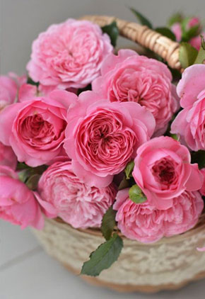 Boutique Flowers Varna - Цветарница