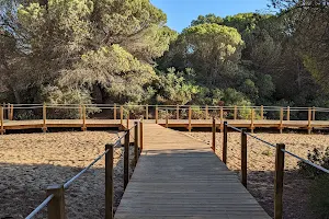 Passadiços da Mata dos Medos (início Zimbral) image