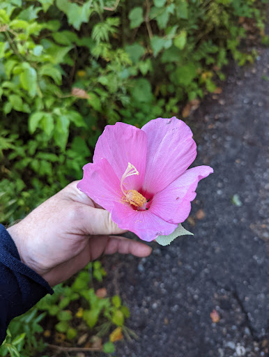 Nature Preserve «Welwyn Preserve», reviews and photos, 100 Crescent Beach Rd, Glen Cove, NY 11542, USA