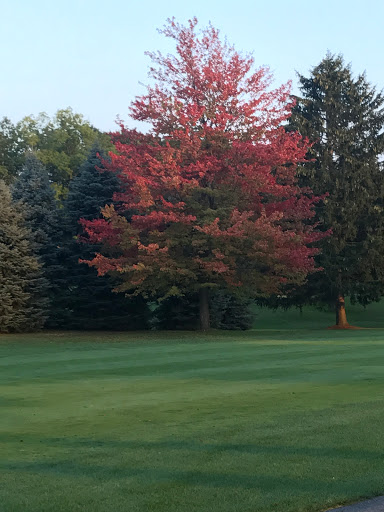 Golf Course «Pine Knob Golf Course», reviews and photos, 5580 Waldon Rd, Village of Clarkston, MI 48348, USA