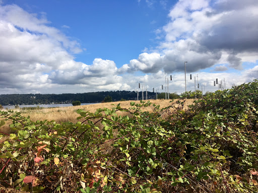 Tourist Attraction «A Sound Garden», reviews and photos, 7600 Sand Point Way NE, Seattle, WA 98115, USA