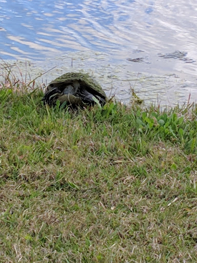 Private Golf Course «Bayou Club», reviews and photos, 7979 Bayou Club Blvd, Largo, FL 33777, USA