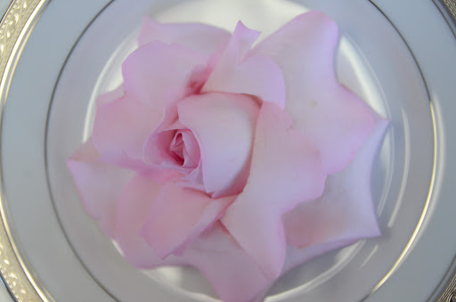 Florist «Royal Petals», reviews and photos, 188 E Wend St, Lemont, IL 60439, USA