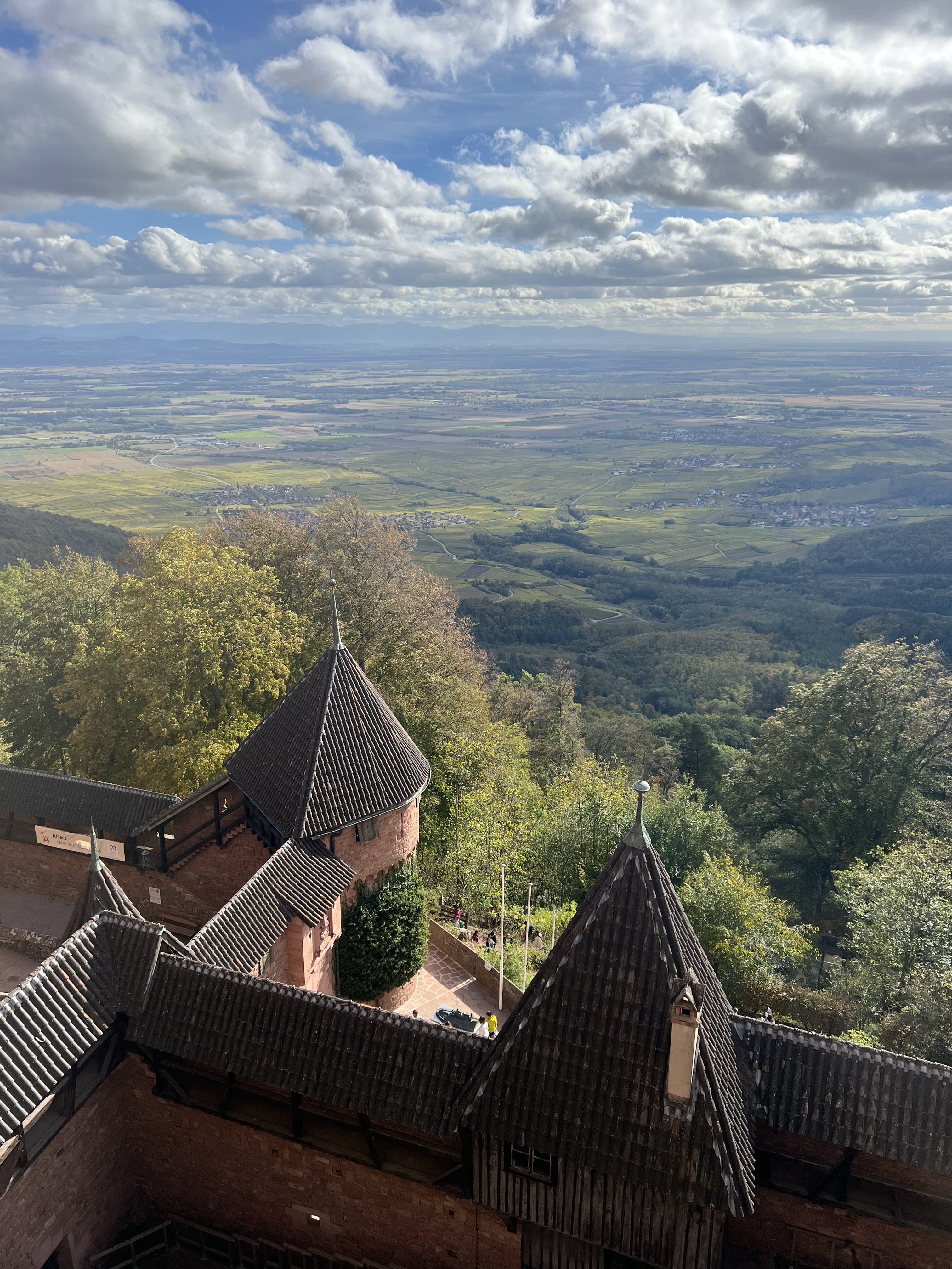 Photo n° 1 de l'avis de Svitlana. fait le 24/10/2023 à 17:32