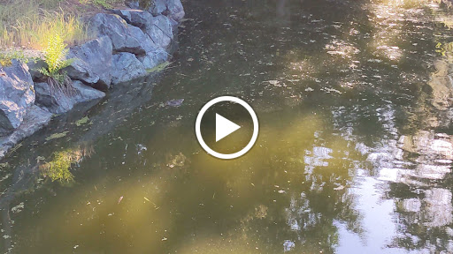 Golf Course «Willows Run Golf Complex», reviews and photos, 10402 Willows Rd, Redmond, WA 98052, USA