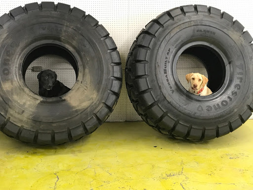 Tire Shop «Kolar Tire & Auto», reviews and photos, 3213 Euclid Ave, Helena, MT 59601, USA