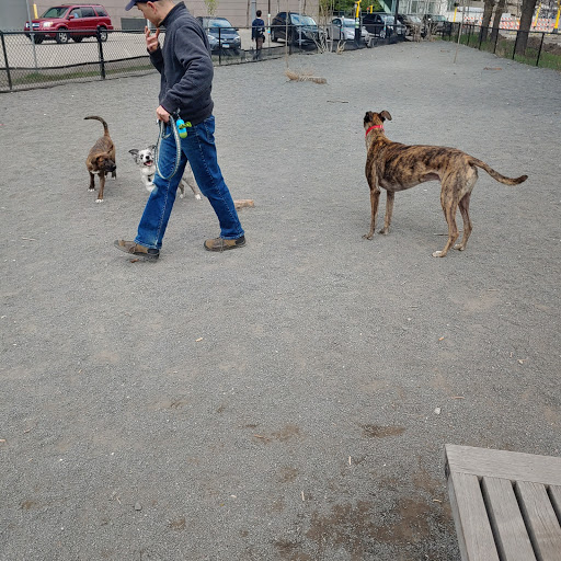 Dog Park «Gateway Dog Park», reviews and photos, 1099 S 4th Ave, Minneapolis, MN 55404, USA