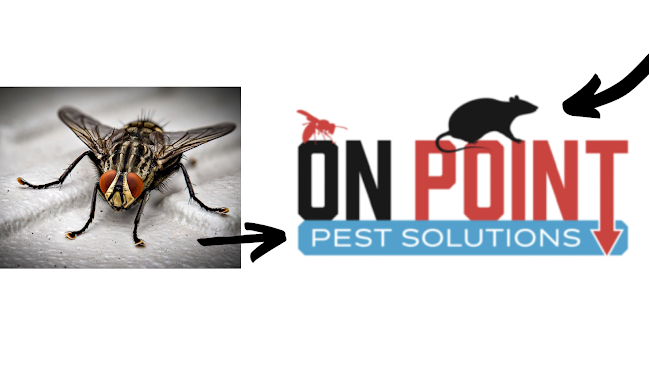 Reviews of On Point Pest Solutions in Bedford - Pest control service