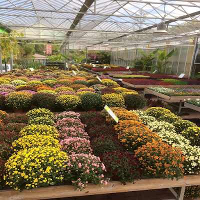 Côté Jardin à Valentigney