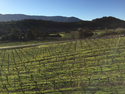 Winery «Arrowood Vineyards & Winery», reviews and photos, 14347 CA-12, Glen Ellen, CA 95442, USA