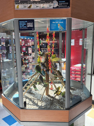 Pet Supply Store «Petco Animal Supplies», reviews and photos, 92 Cluff Crossing Rd, Salem, NH 03079, USA