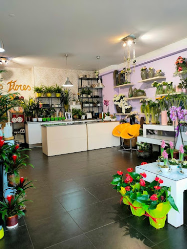 Avaliações doCanto das Flores - Decoração e Comércio de Flores em Maia - Floricultura