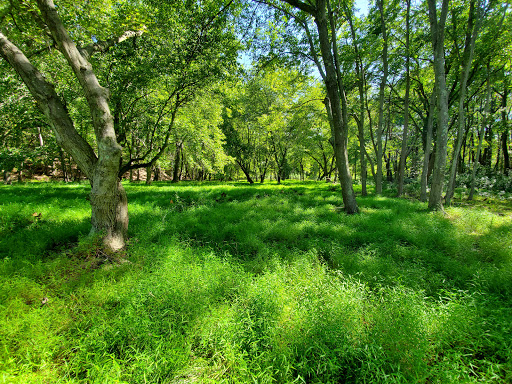 State Park «Cheesequake State Park», reviews and photos, 300 Gordon Rd, Matawan, NJ 07747, USA