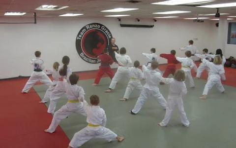 Ottawa Academy of Martial Arts image