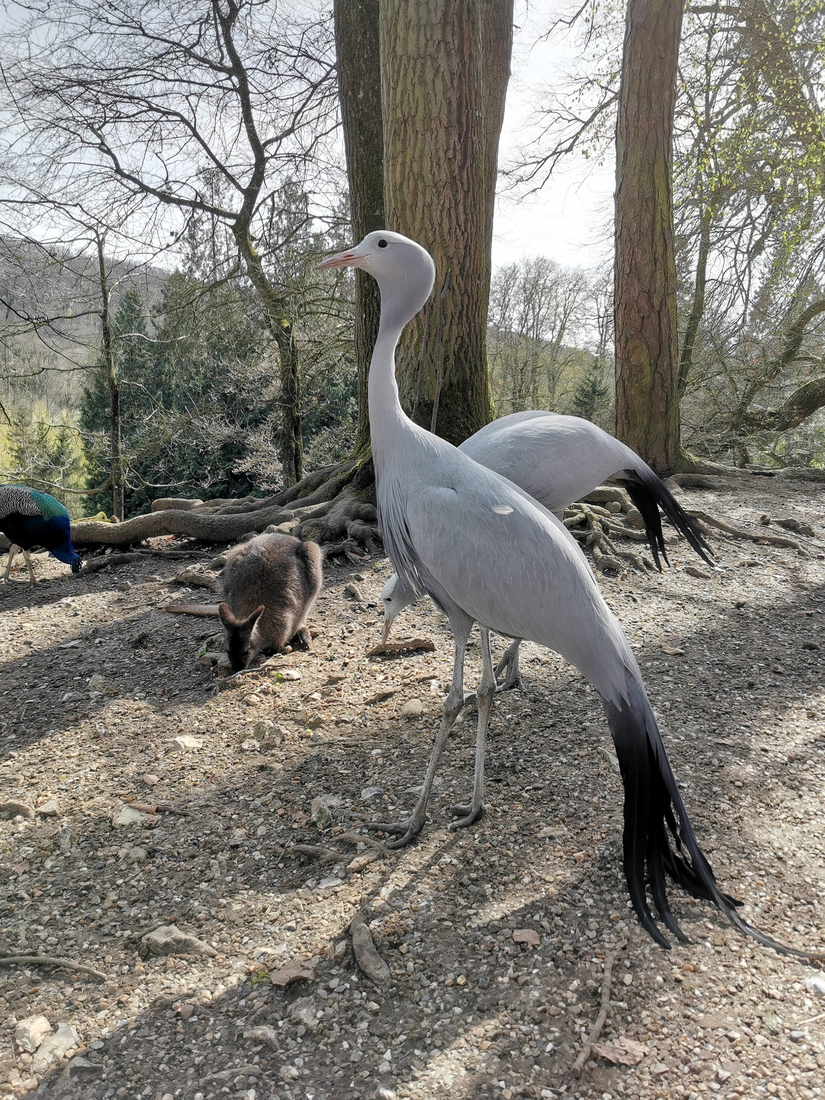 Photo n° 1 de l'avis de Dany.d fait le 10/04/2022 à 17:32