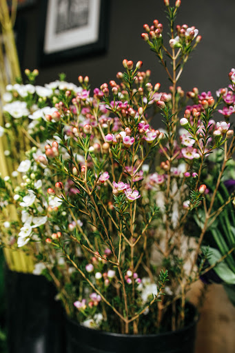 Florist «City Bloom, Inc», reviews and photos, 1300 Clay St #162b, Oakland, CA 94612, USA