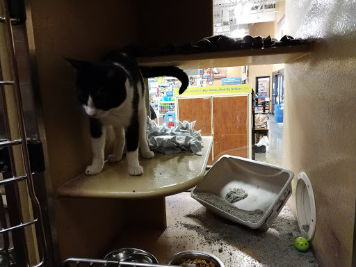 Pet Supply Store «PetSmart», reviews and photos, 40451 Lowes Ave, Gonzales, LA 70737, USA