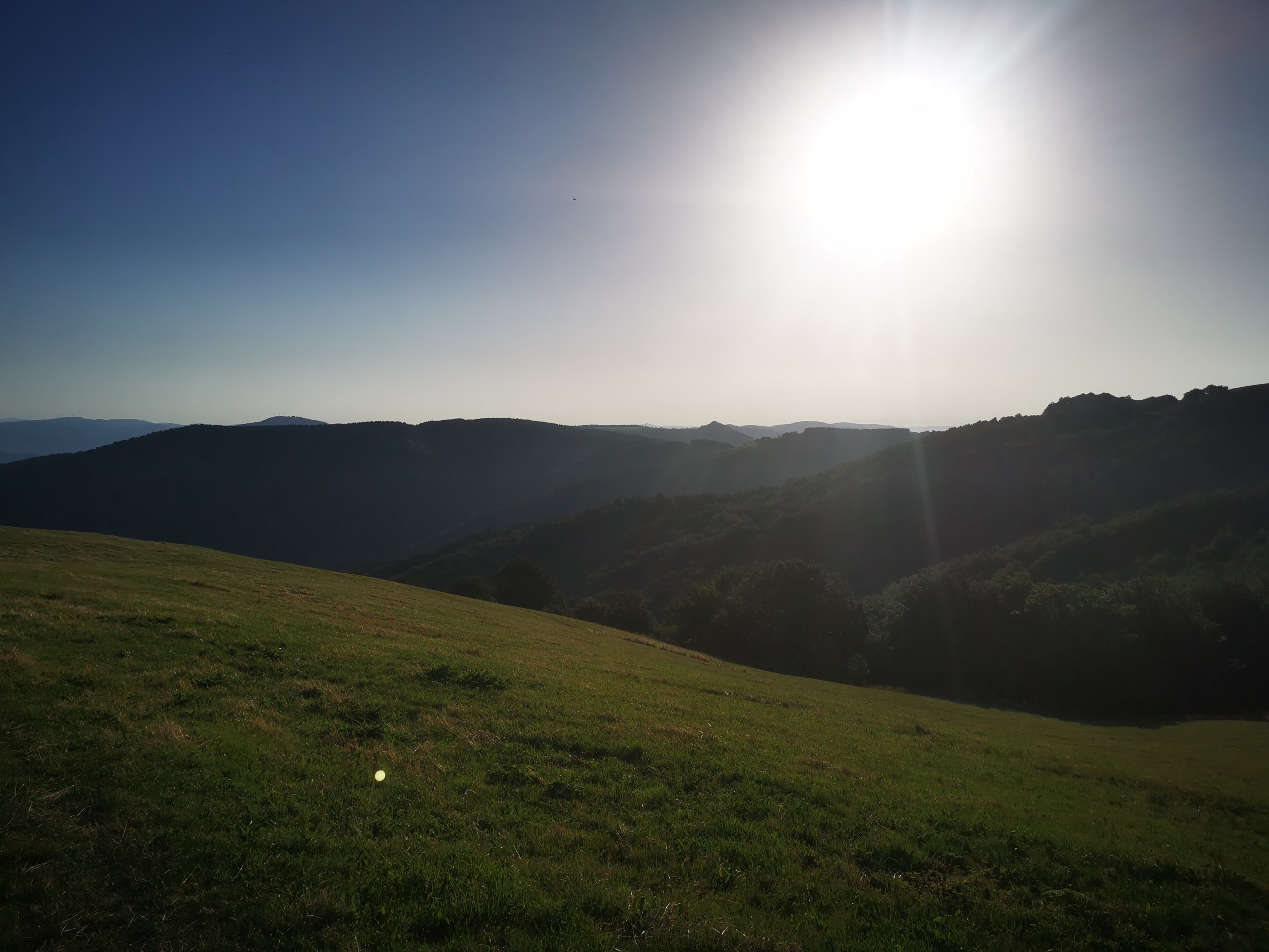 Photo n° 38 de l'avis de Seb. fait le 14/07/2023 à 04:55