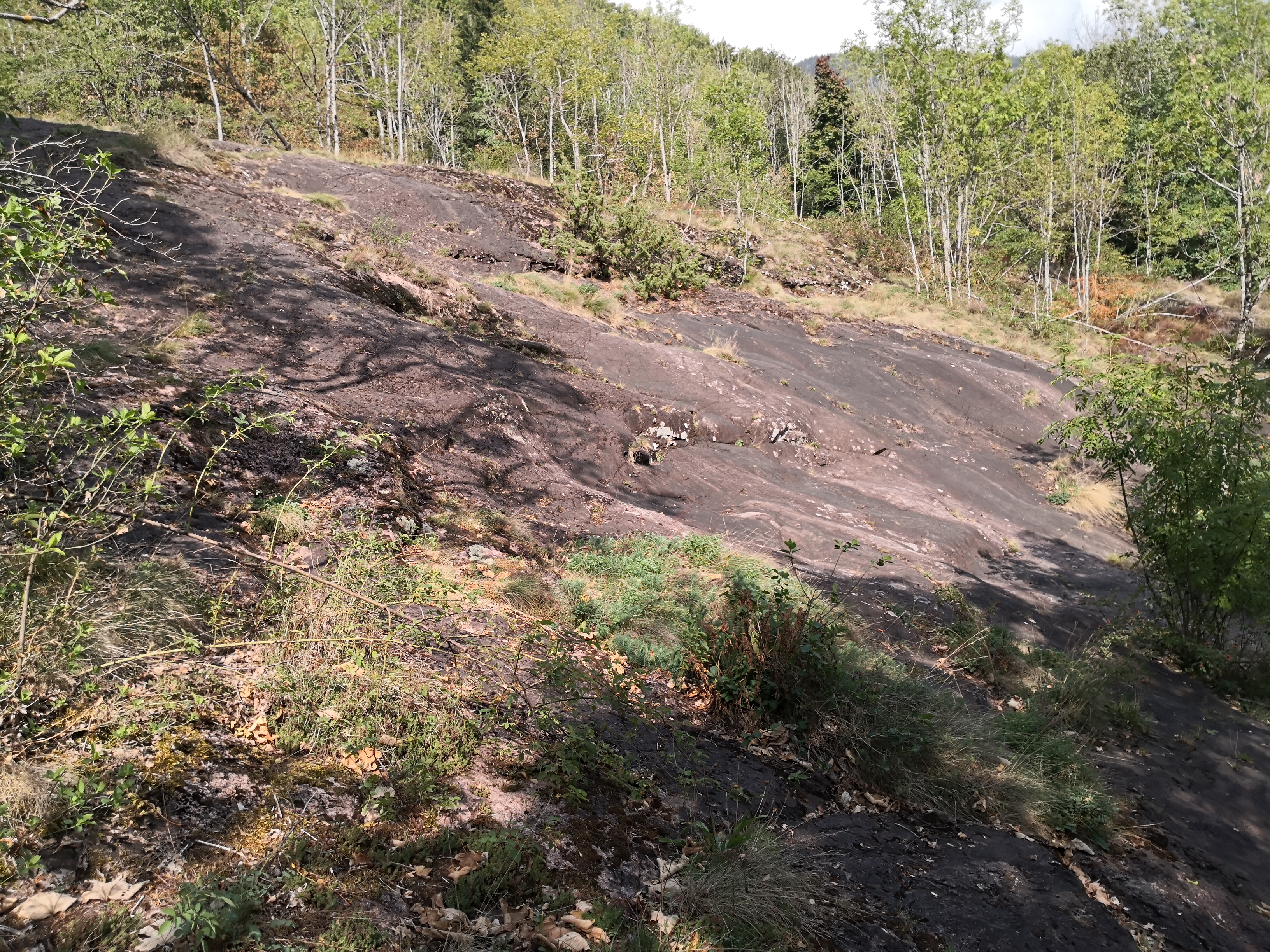 Photo n° 3 de l'avis de Harald.� fait le 29/08/2019 à 14:06