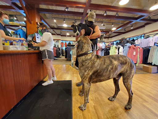 Tack Shop «Dover Saddlery», reviews and photos, 10 Fila Way, Sparks, MD 21152, USA