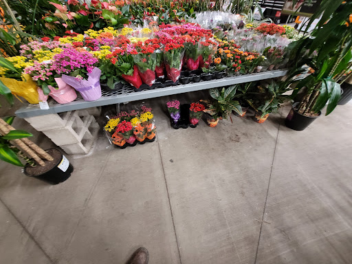 Home Improvement Store «The Home Depot», reviews and photos, 1095 Pullman St, Anaheim, CA 92807, USA