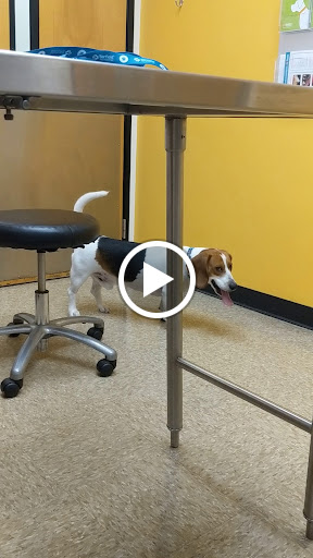 Pet Supply Store «PetSmart», reviews and photos, 16514 SW 88th St, Kendall, FL 33196, USA