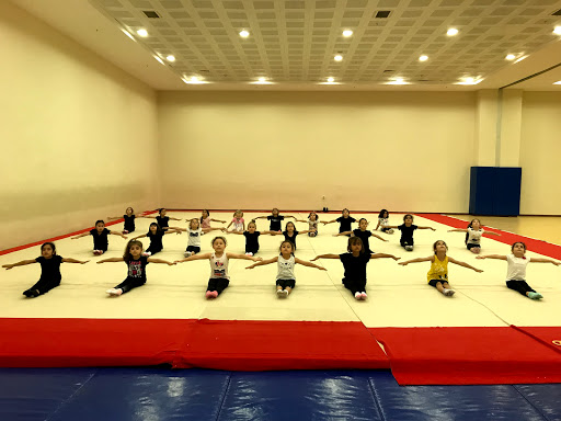 Taekwondo gyms in Antalya